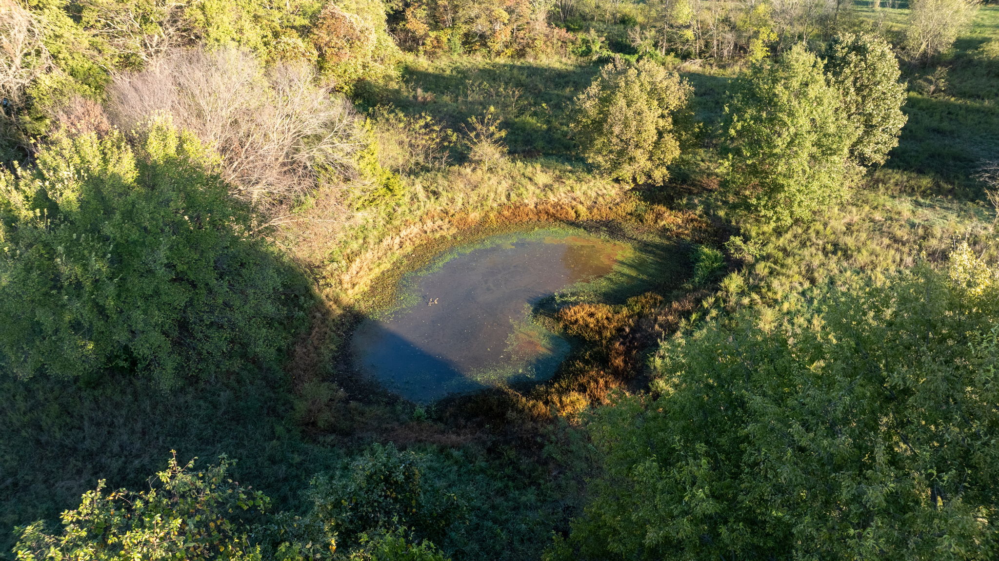 Dade County Hobby Farm Opportunity on 29.7 +/- Acres