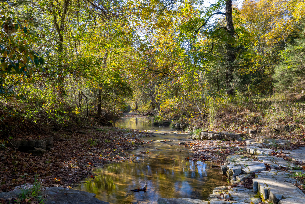 Turn-Key 160 Acres with Hurricane Creek, Timbered Ridges, and Pastureland