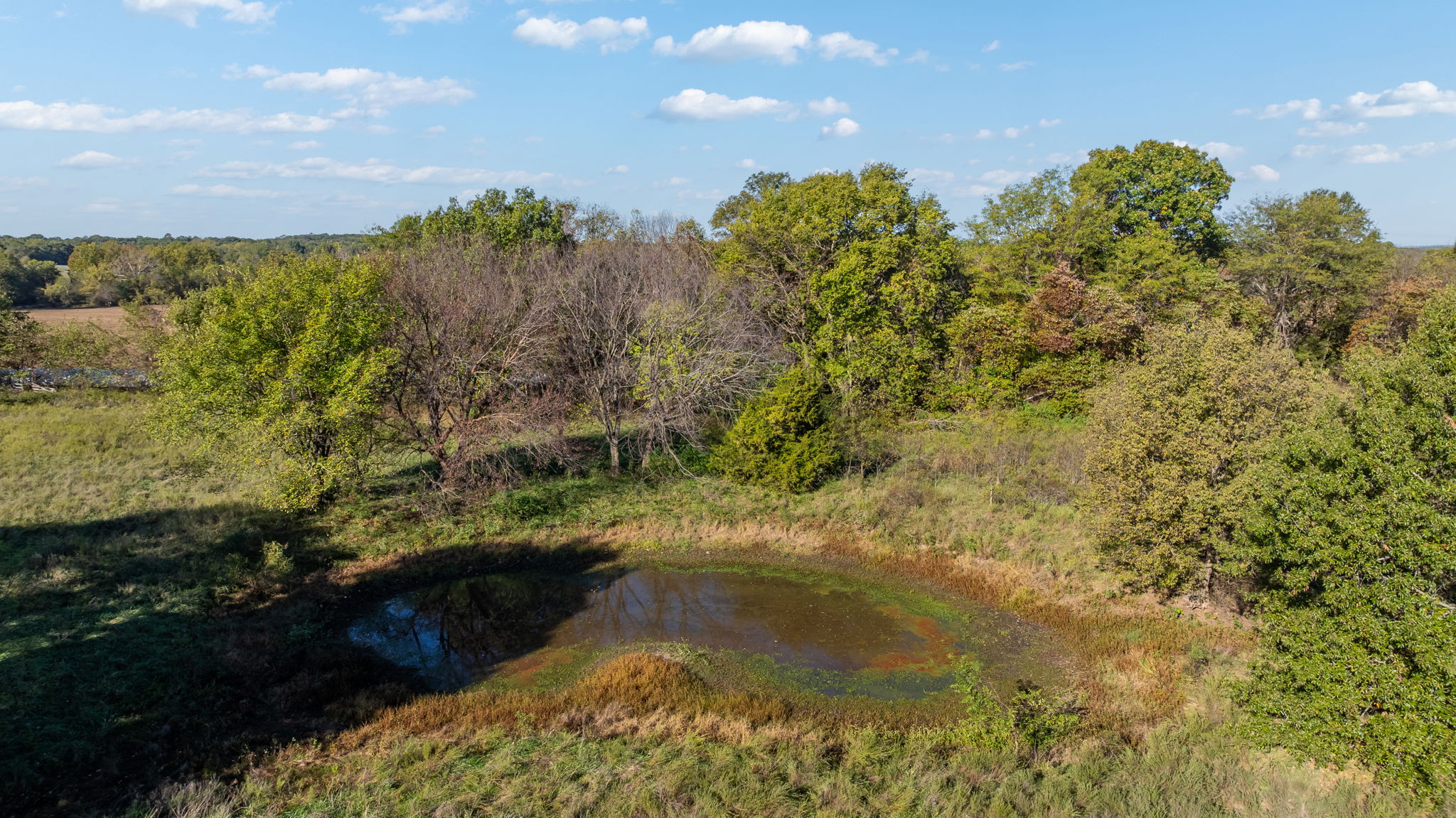 Dade County Hobby Farm Opportunity on 29.7 +/- Acres
