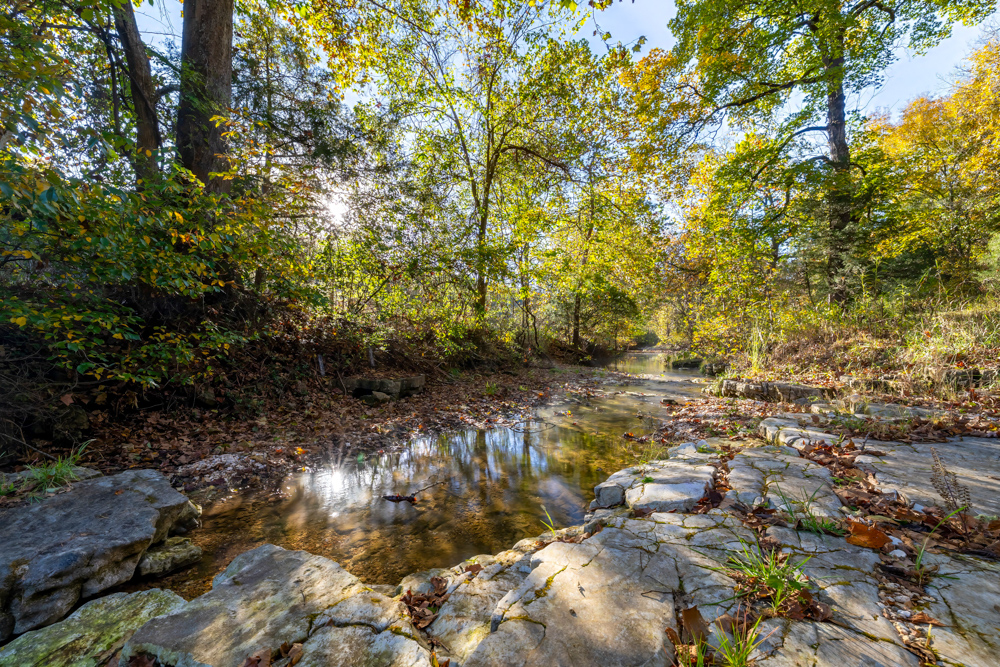 Turn-Key 160 Acres with Hurricane Creek, Timbered Ridges, and Pastureland