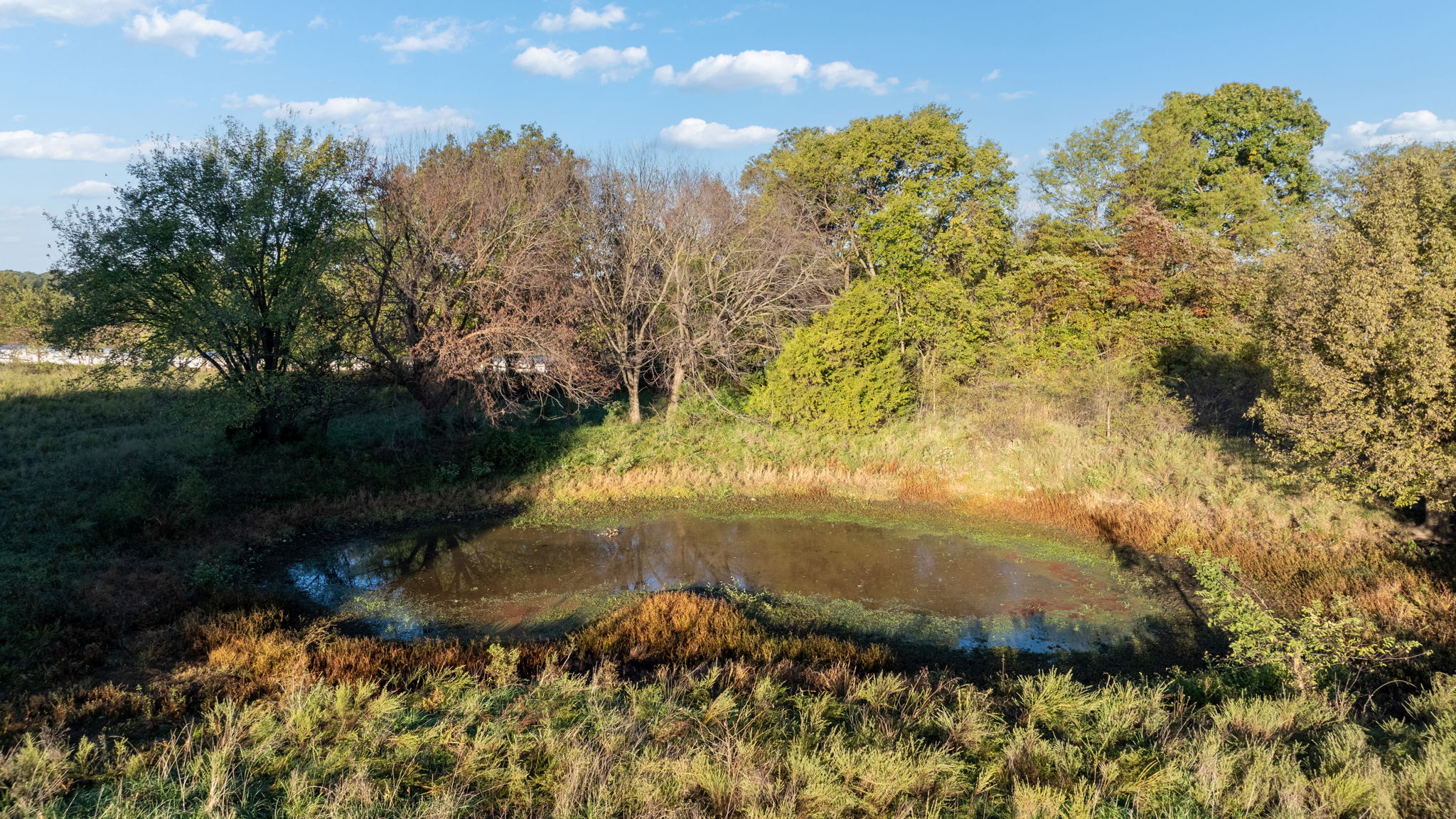Dade County Hobby Farm Opportunity on 29.7 +/- Acres