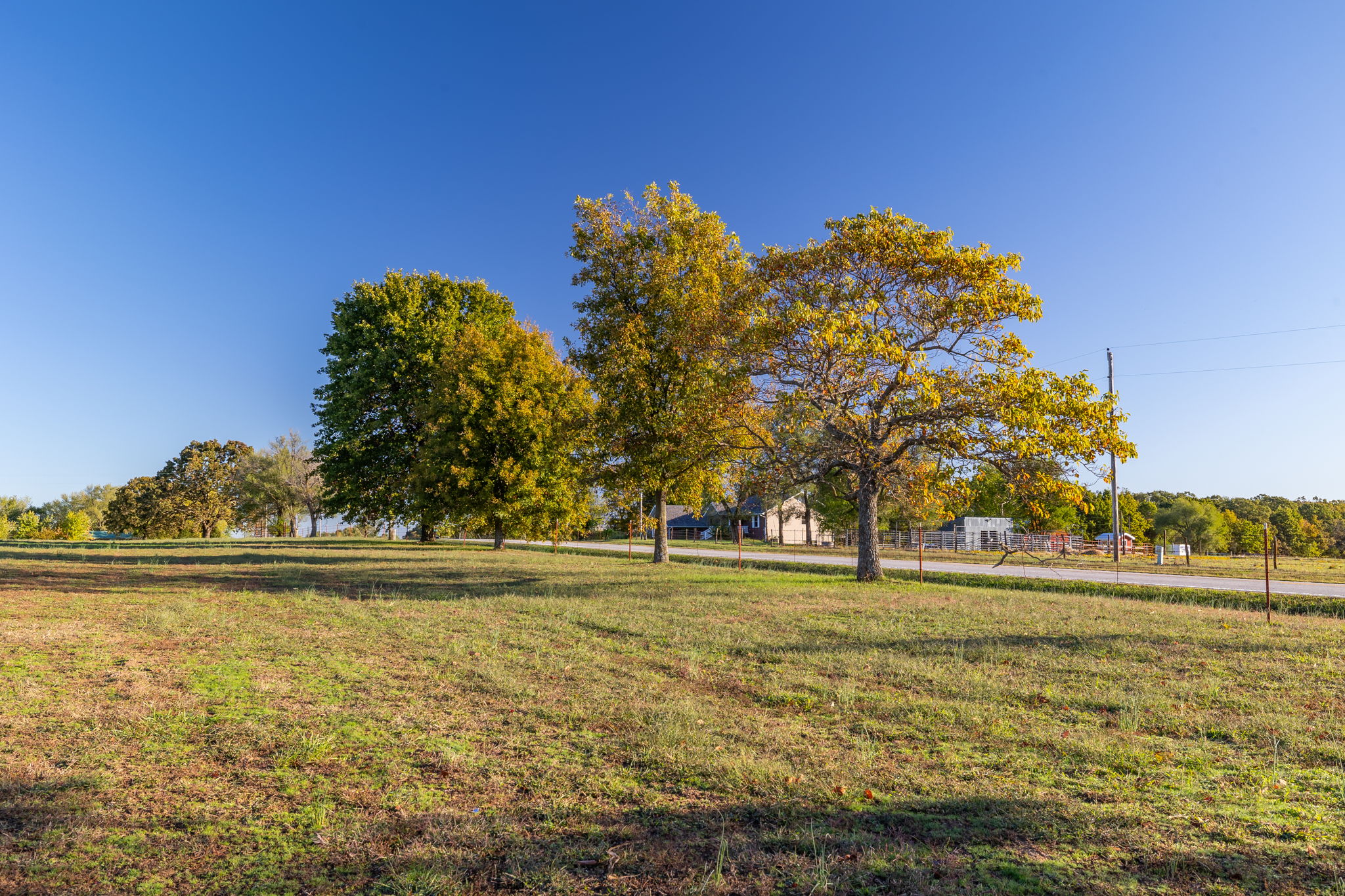 Dade County Hobby Farm Opportunity on 29.7 +/- Acres
