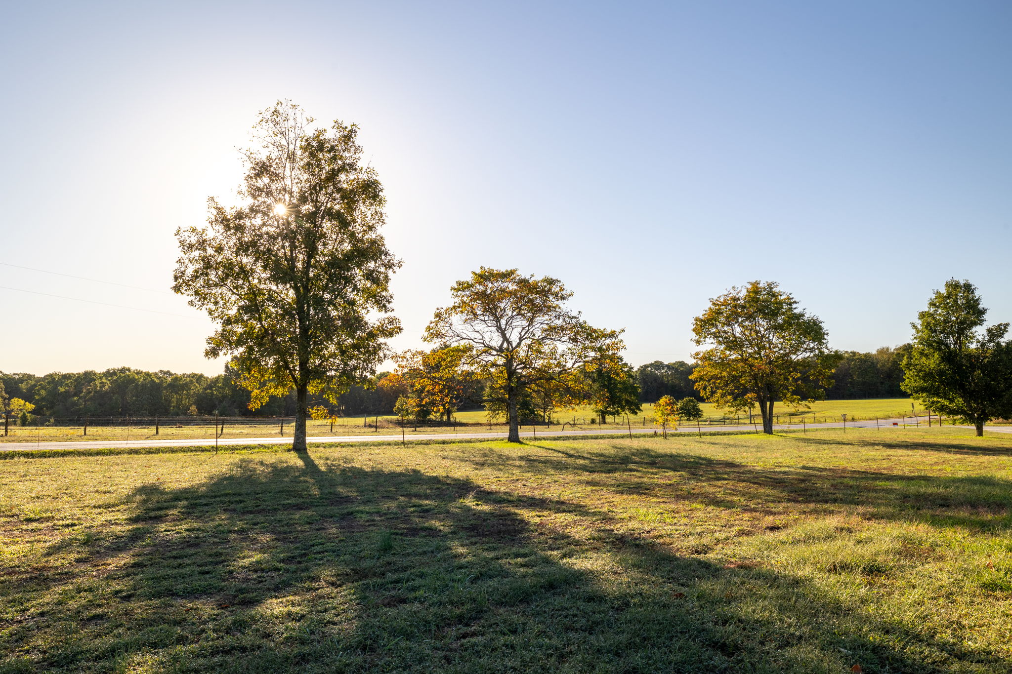 Dade County Hobby Farm Opportunity on 29.7 +/- Acres
