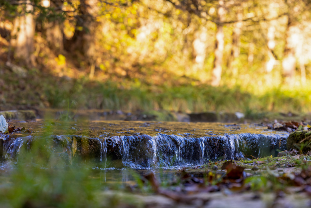 Turn-Key 160 Acres with Hurricane Creek, Timbered Ridges, and Pastureland