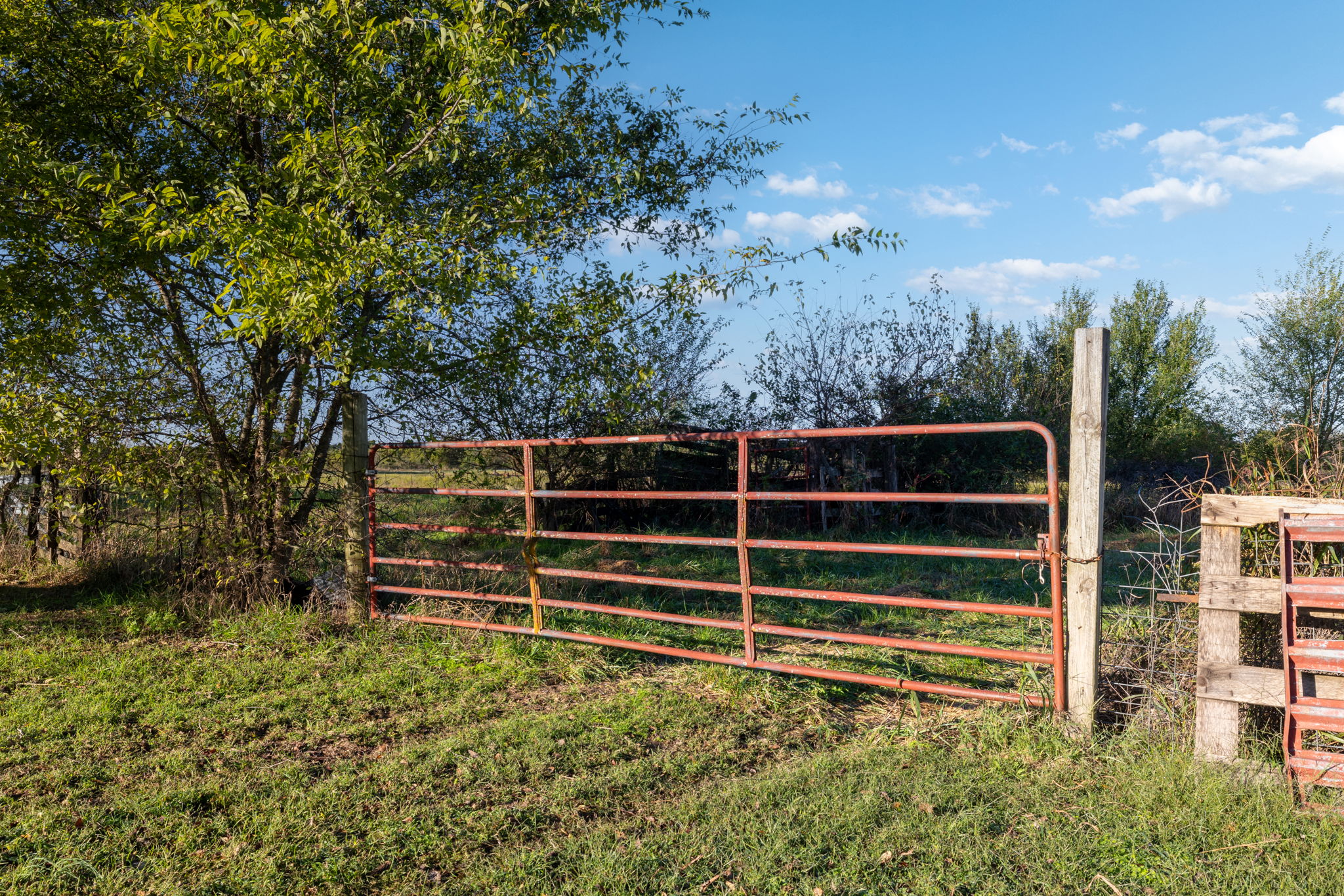 Dade County Hobby Farm Opportunity on 29.7 +/- Acres