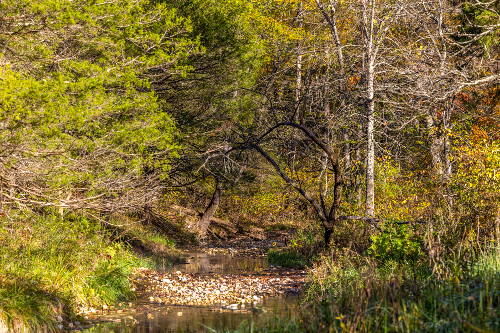 Turn-Key 160 Acres with Hurricane Creek, Timbered Ridges, and Pastureland