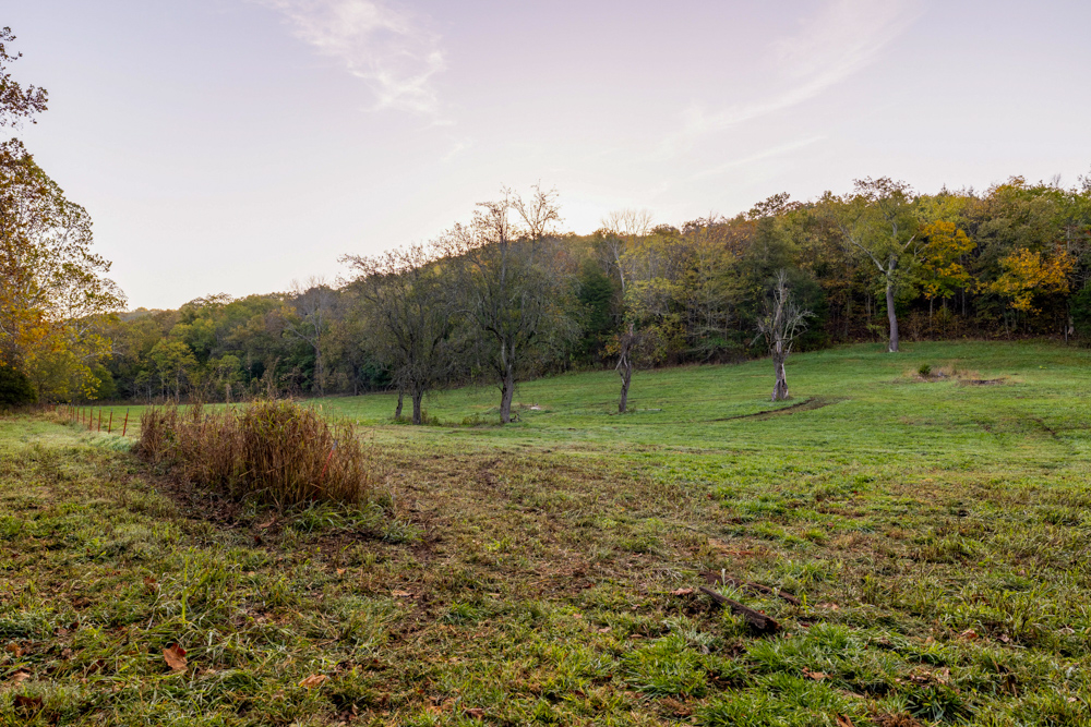 Turn-Key 160 Acres with Hurricane Creek, Timbered Ridges, and Pastureland