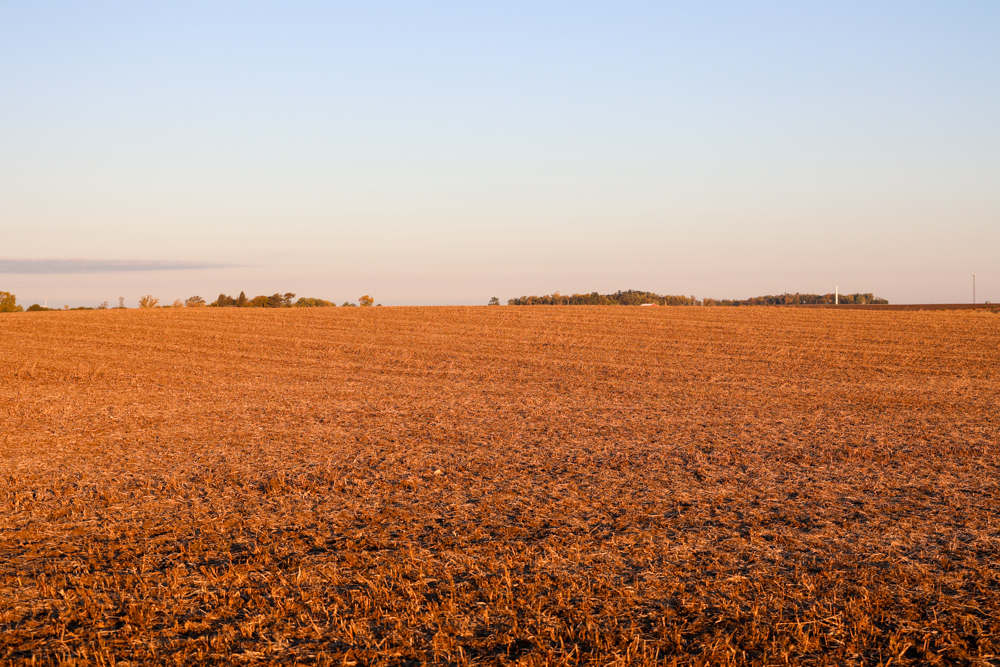 Exceptional Production Farm