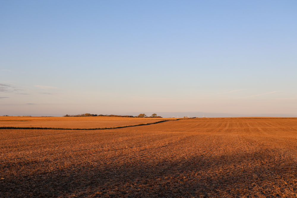 Exceptional Production Farm