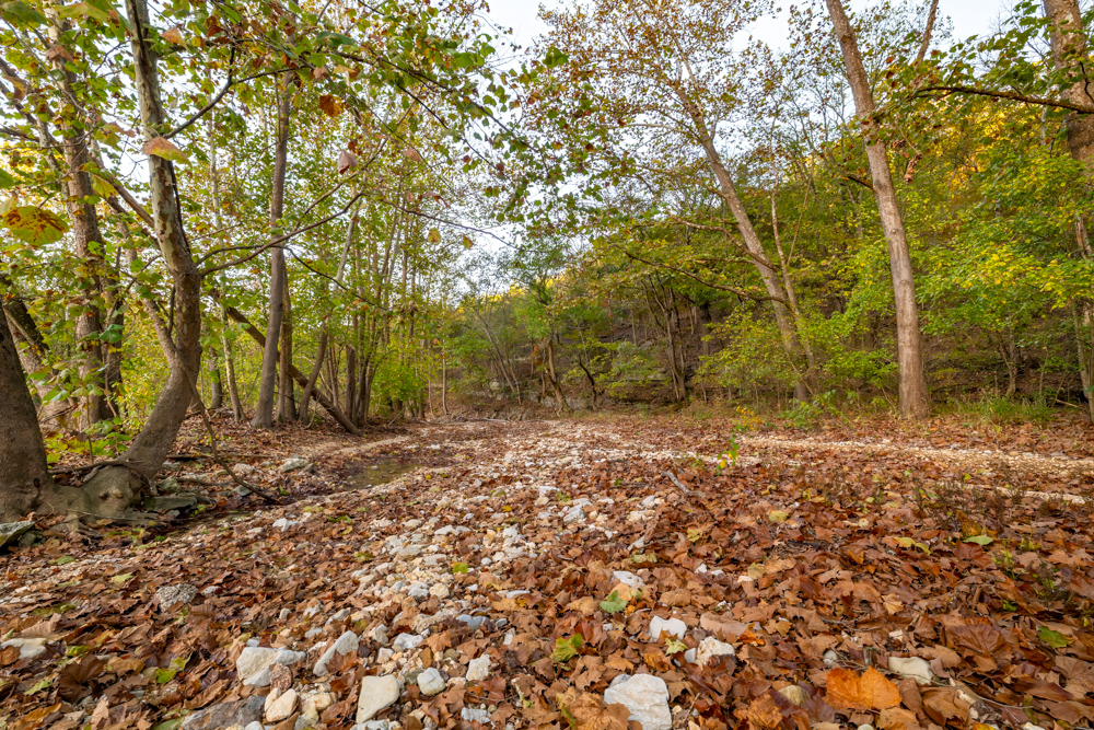 Turn-Key 160 Acres with Hurricane Creek, Timbered Ridges, and Pastureland