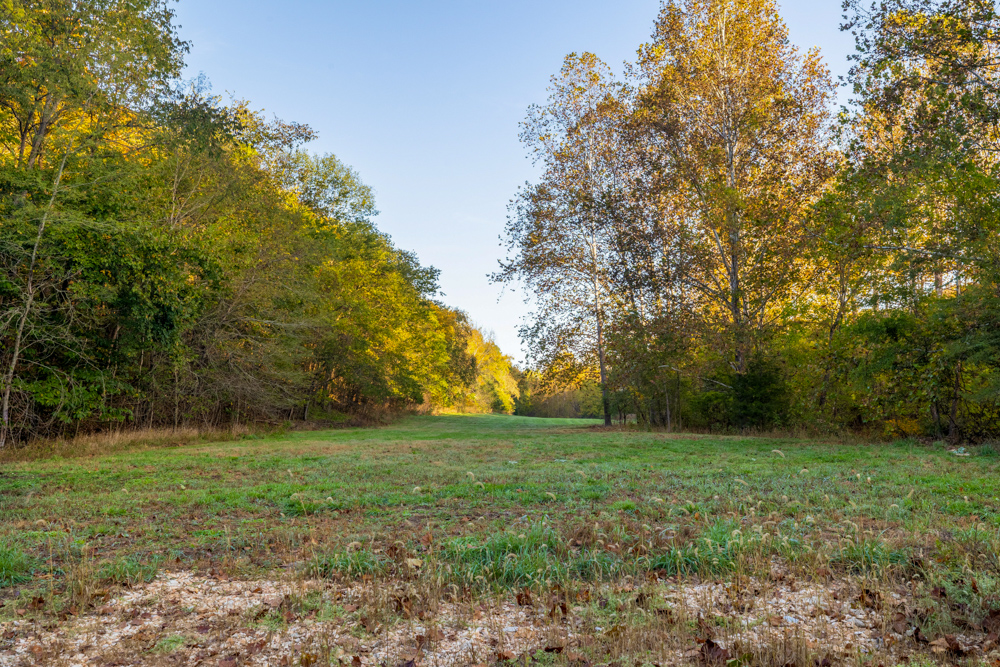 Turn-Key 160 Acres with Hurricane Creek, Timbered Ridges, and Pastureland