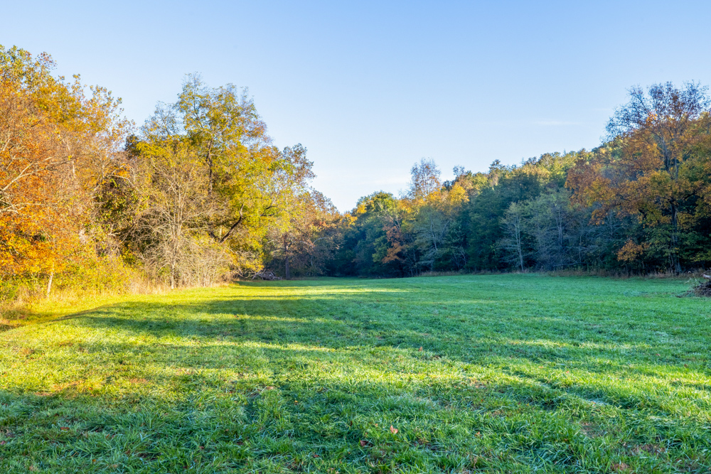 Turn-Key 160 Acres with Hurricane Creek, Timbered Ridges, and Pastureland