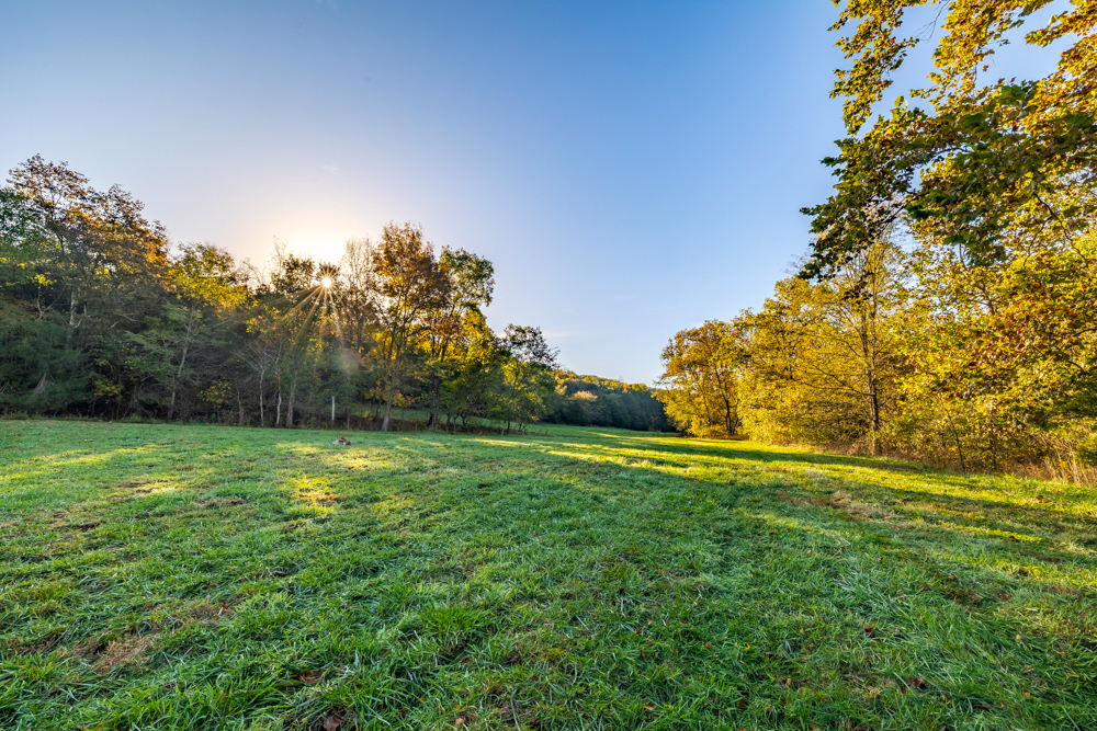 Turn-Key 160 Acres with Hurricane Creek, Timbered Ridges, and Pastureland