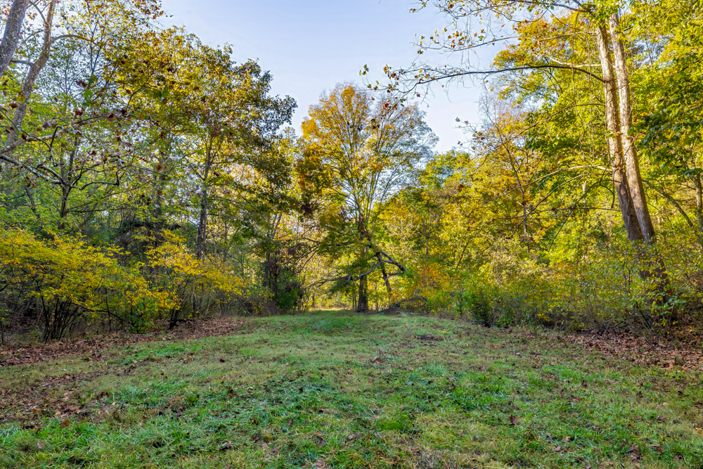 Turn-Key 160 Acres with Hurricane Creek, Timbered Ridges, and Pastureland