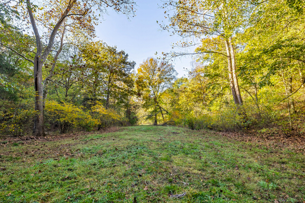 Turn-Key 160 Acres with Hurricane Creek, Timbered Ridges, and Pastureland