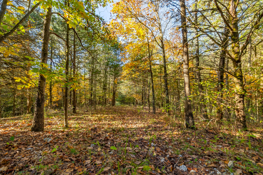 Turn-Key 160 Acres with Hurricane Creek, Timbered Ridges, and Pastureland