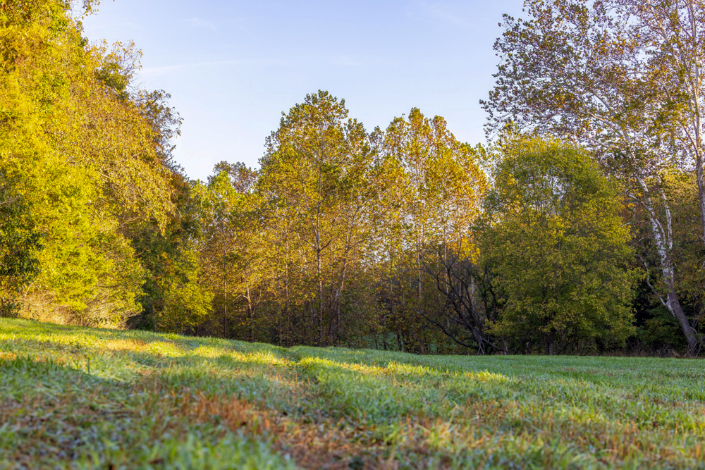 Turn-Key 160 Acres with Hurricane Creek, Timbered Ridges, and Pastureland