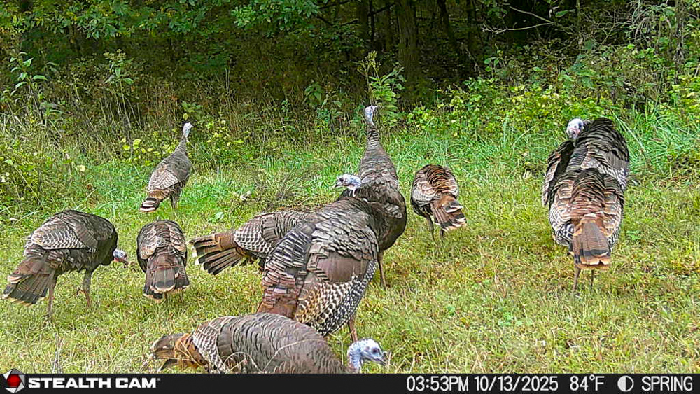 Premier Build Sites and Trophy Deer Habitat Near Carthage