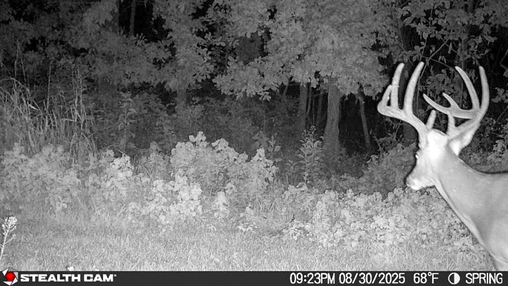 Premier Build Sites and Trophy Deer Habitat Near Carthage