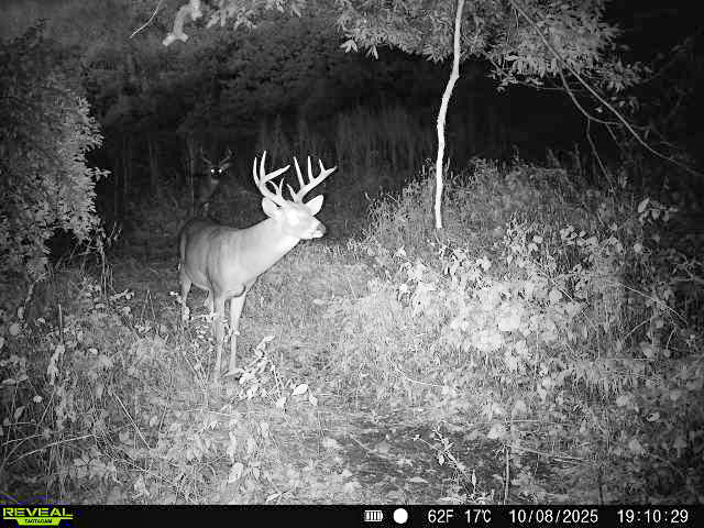 Hunting Paradise with Income