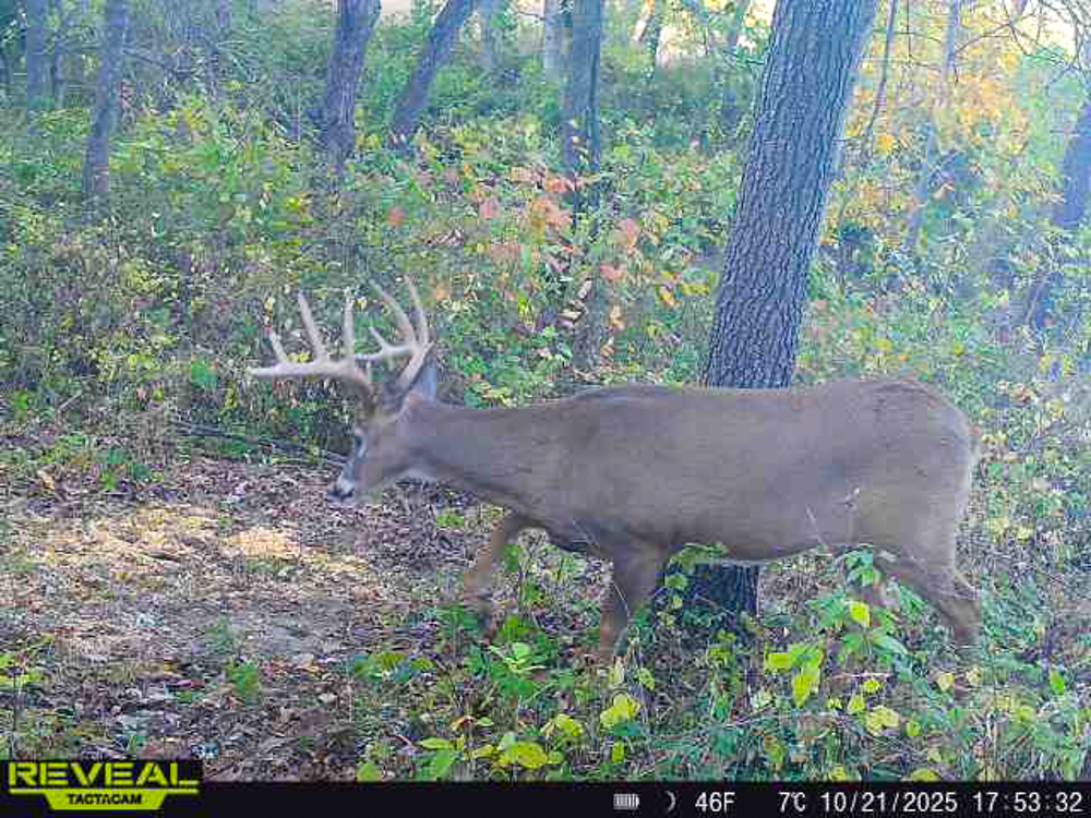 Exceptional Pasture Farm with World-Class Hunting & Recreational Potential
