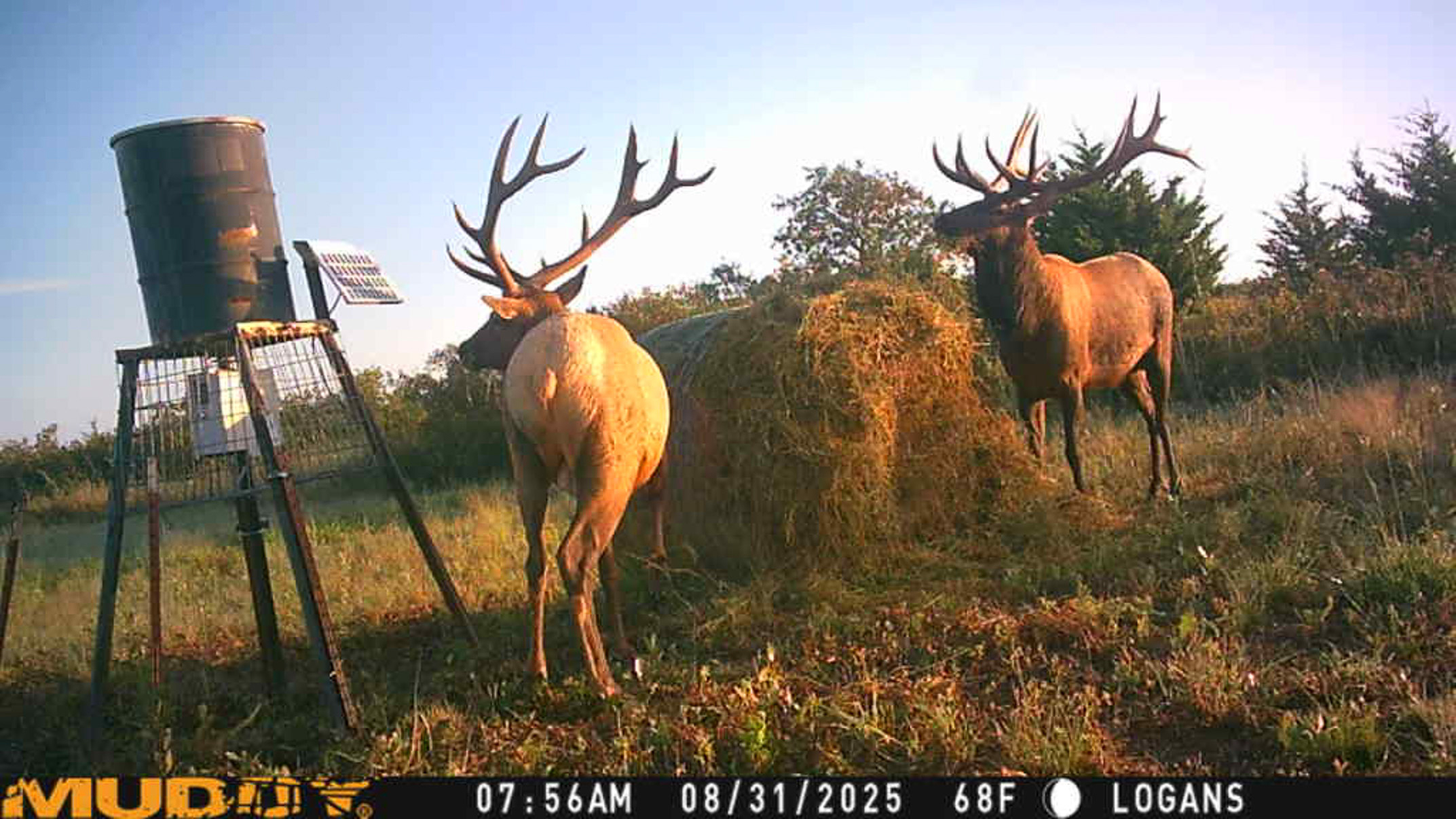 Ellis County Hunting Property