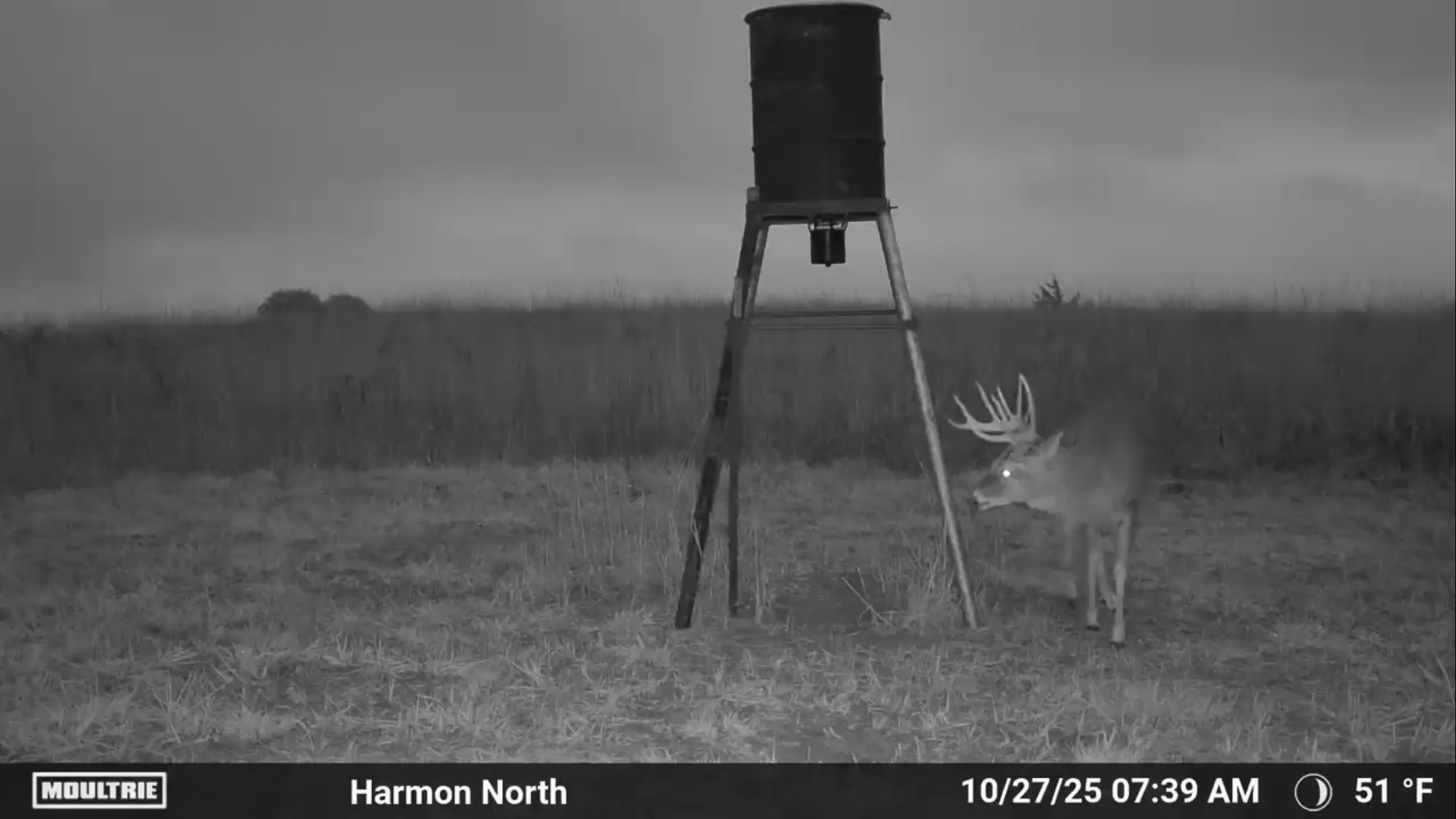 Ellis County Hunting Property