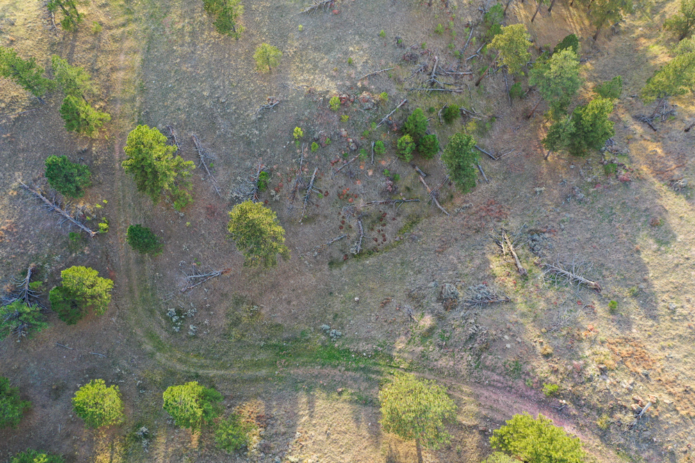 Pine Valley Build Site - Broad Axe Tract A5