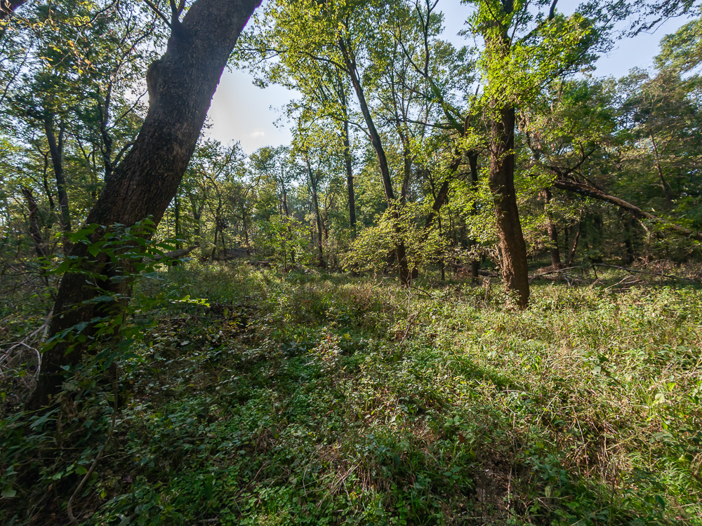 327 +/- Acres with Bird Creek Frontage in Osage County