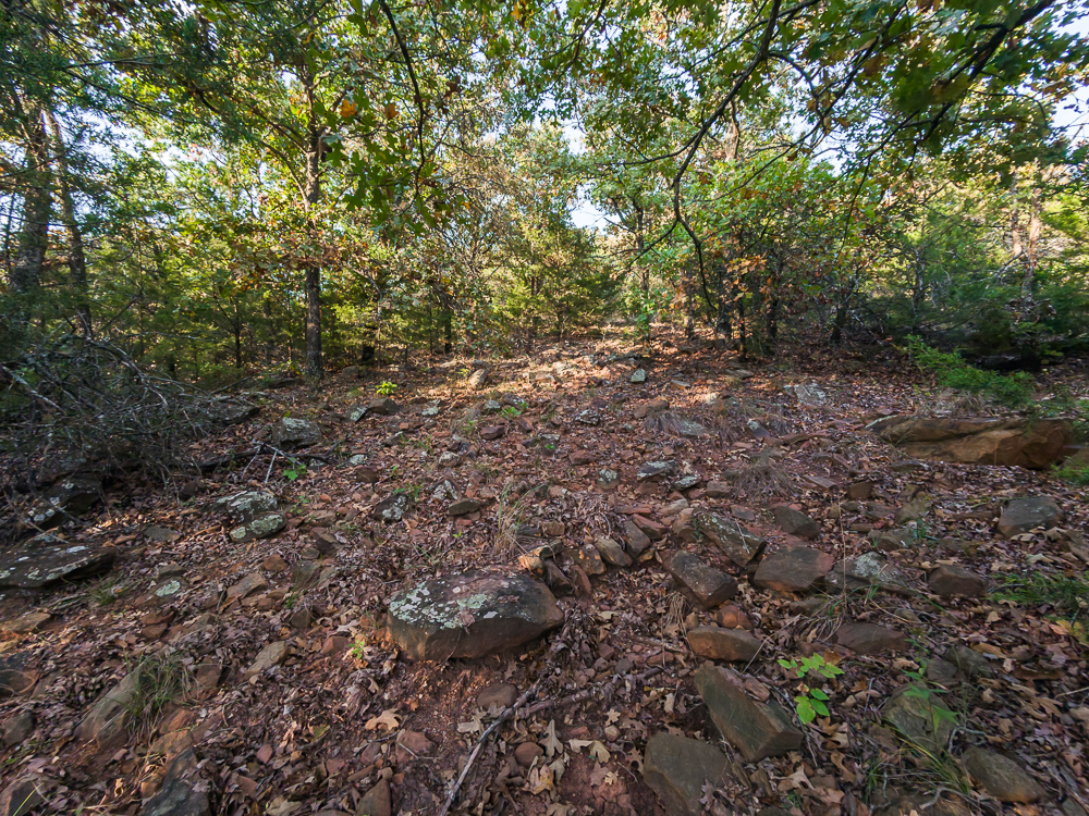 327 +/- Acres with Bird Creek Frontage in Osage County