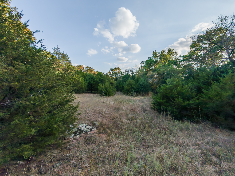 327 +/- Acres with Bird Creek Frontage in Osage County
