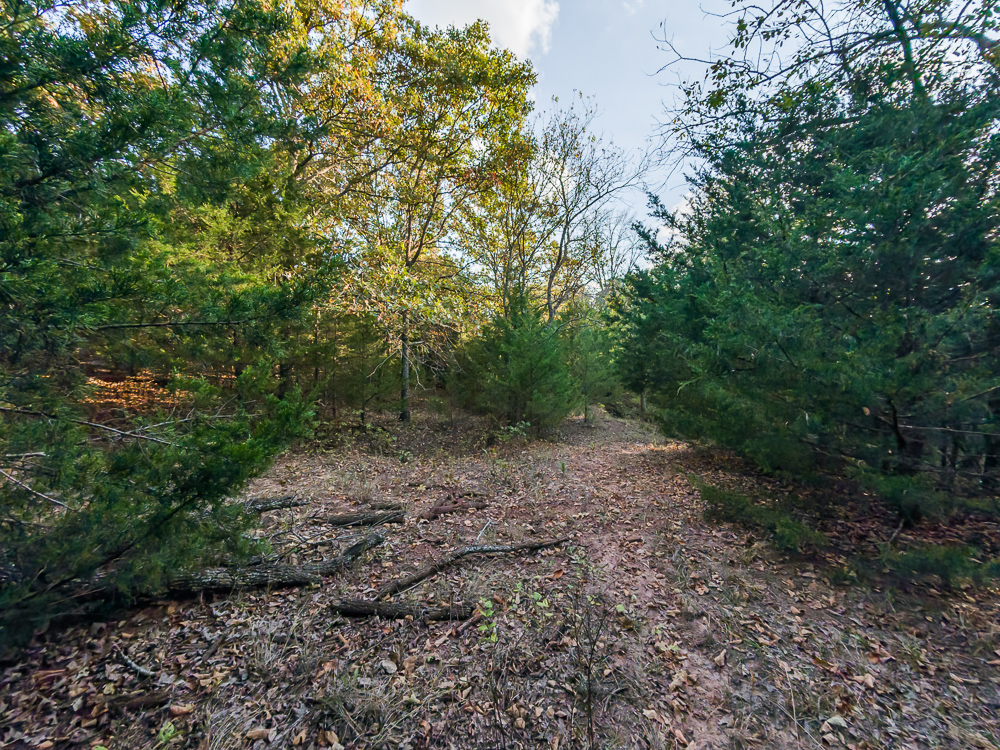 327 +/- Acres with Bird Creek Frontage in Osage County