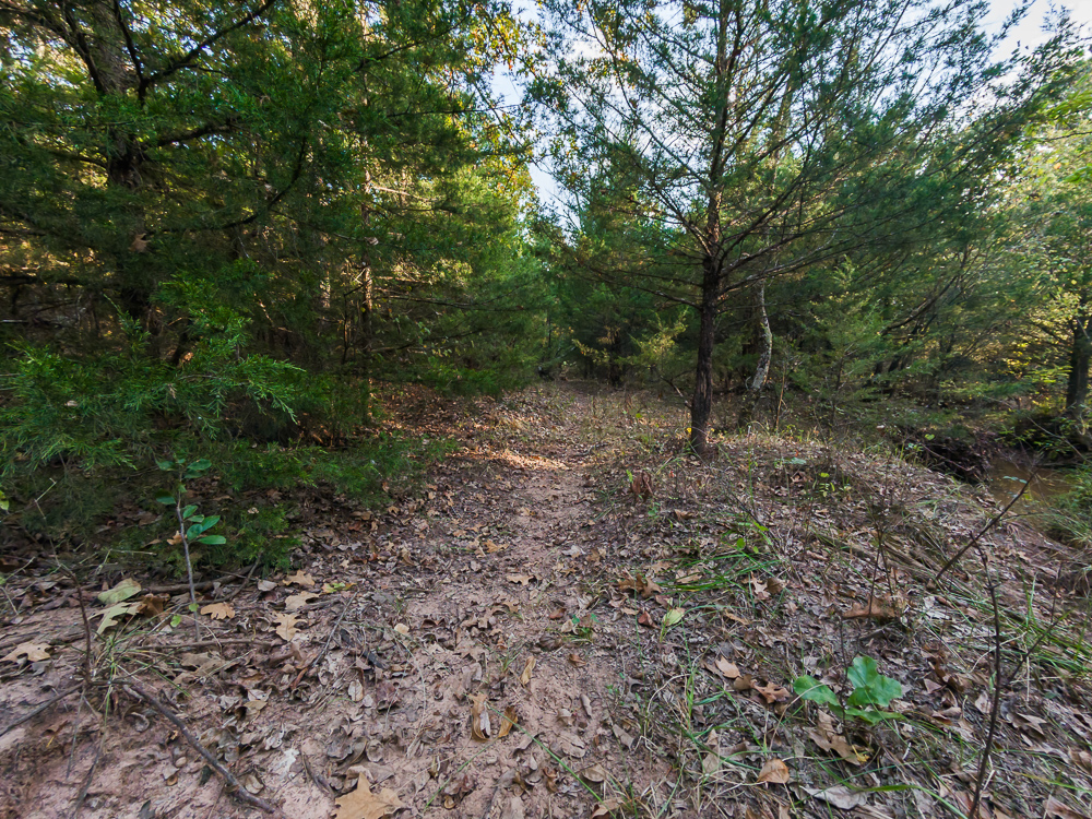 327 +/- Acres with Bird Creek Frontage in Osage County