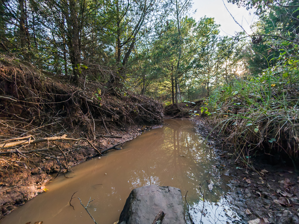 327 +/- Acres with Bird Creek Frontage in Osage County