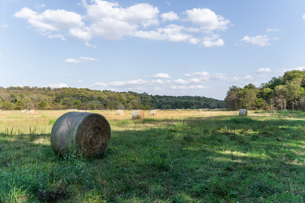 327 +/- Acres with Bird Creek Frontage in Osage County