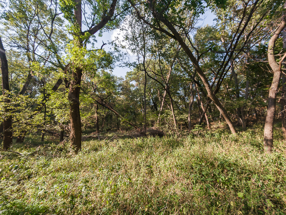 327 +/- Acres with Bird Creek Frontage in Osage County