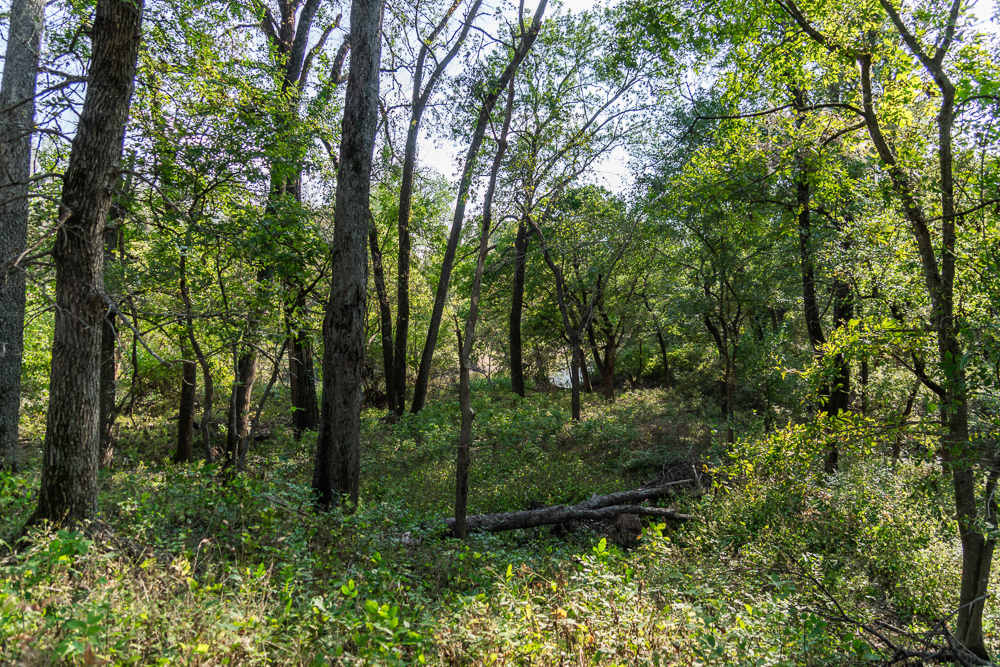 327 +/- Acres with Bird Creek Frontage in Osage County
