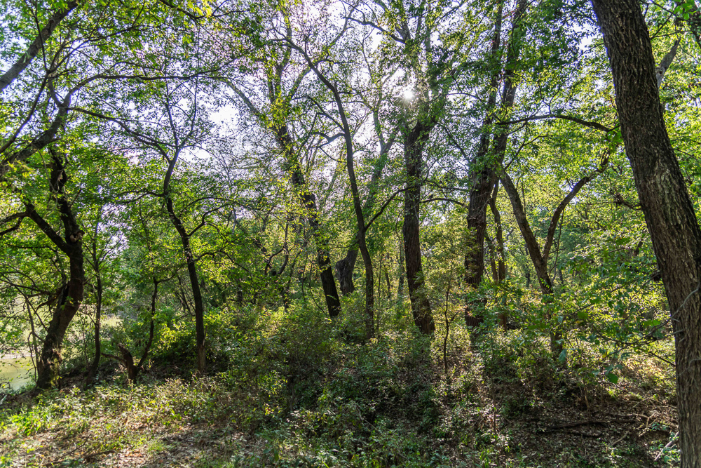 327 +/- Acres with Bird Creek Frontage in Osage County