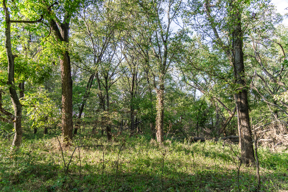 327 +/- Acres with Bird Creek Frontage in Osage County