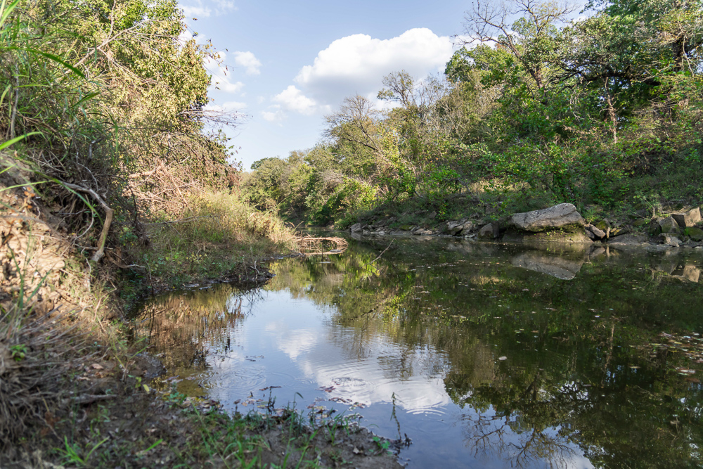 327 +/- Acres with Bird Creek Frontage in Osage County