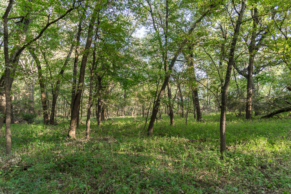 327 +/- Acres with Bird Creek Frontage in Osage County