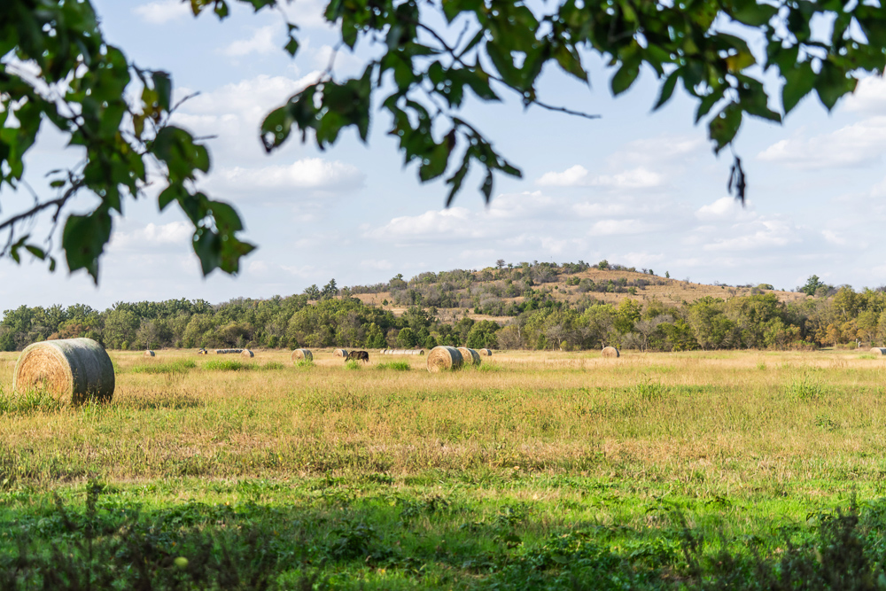 327 +/- Acres with Bird Creek Frontage in Osage County