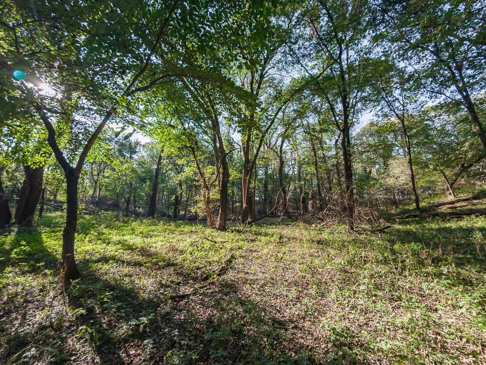 327 +/- Acres with Bird Creek Frontage in Osage County