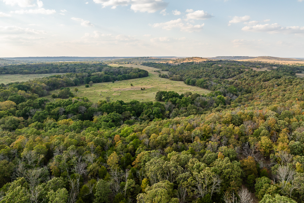 327 +/- Acres with Bird Creek Frontage in Osage County