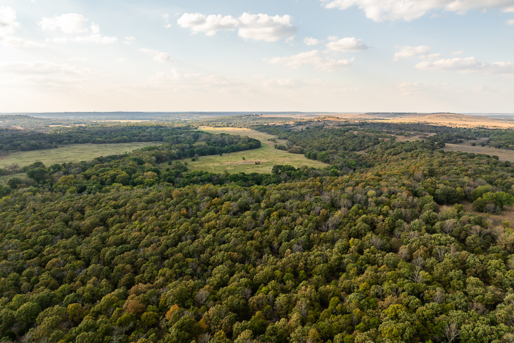 327 +/- Acres with Bird Creek Frontage in Osage County