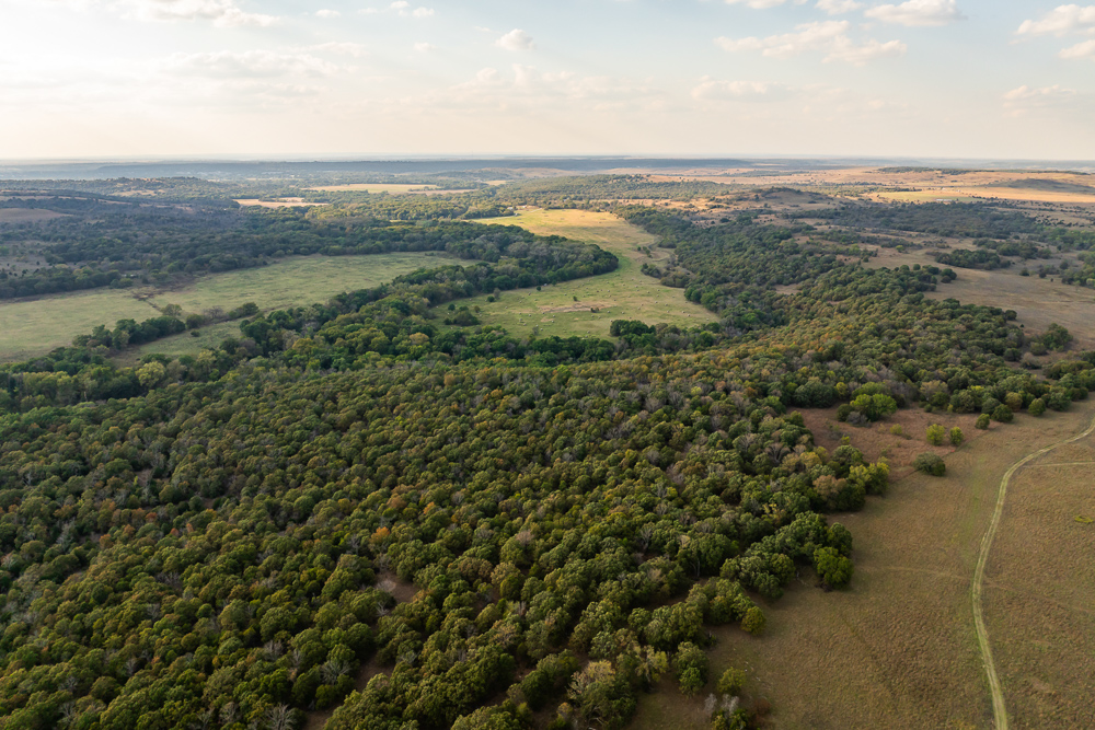 327 +/- Acres with Bird Creek Frontage in Osage County