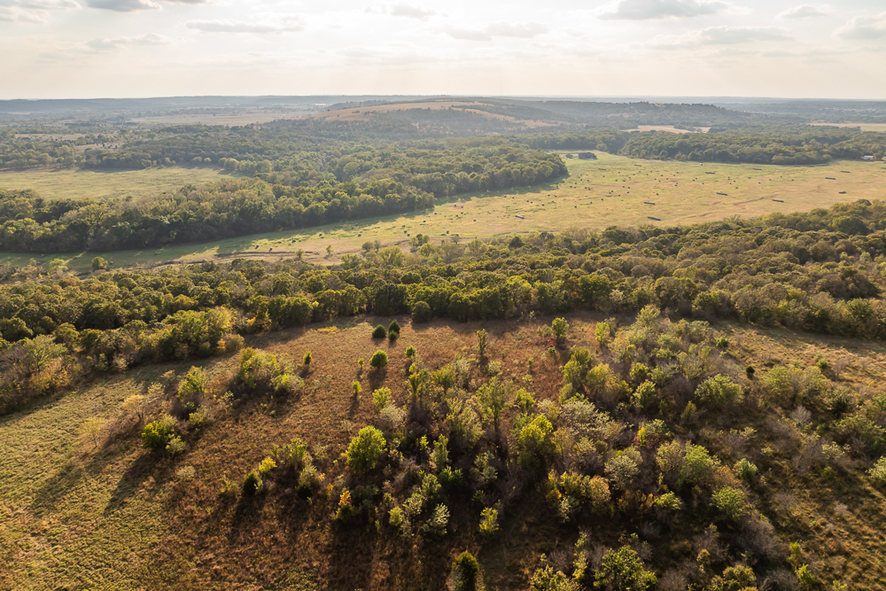 327 +/- Acres with Bird Creek Frontage in Osage County