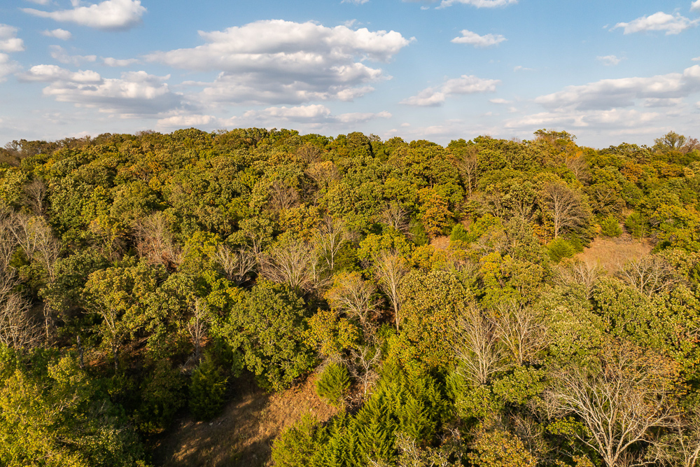 327 +/- Acres with Bird Creek Frontage in Osage County