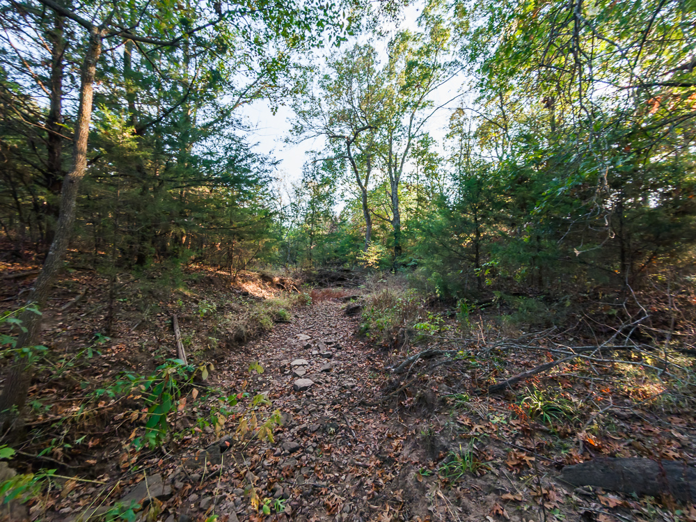 327 +/- Acres with Bird Creek Frontage in Osage County