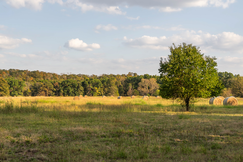 327 +/- Acres with Bird Creek Frontage in Osage County